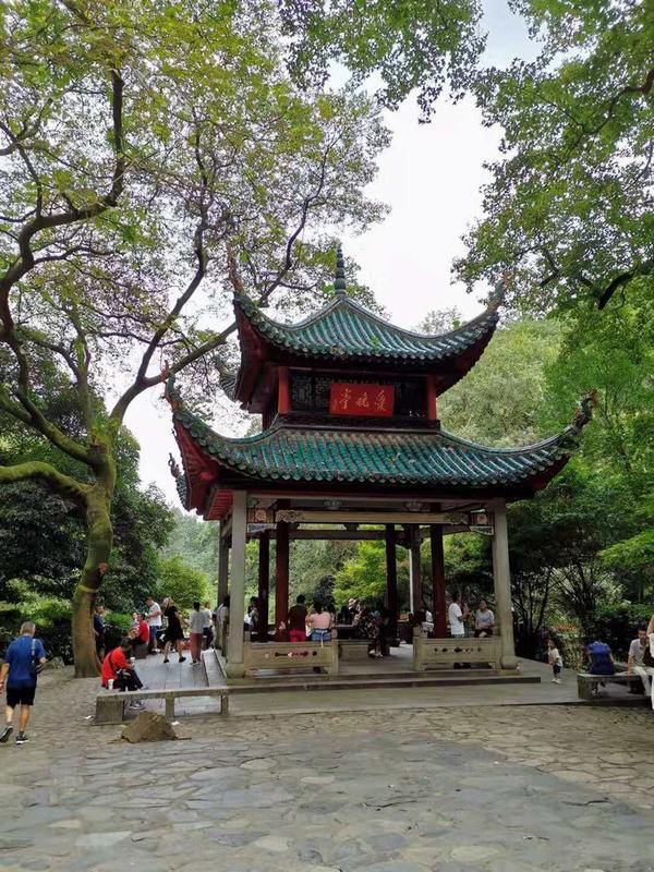 ��´ɽ�_�����W(w��ng)�j(lu��)�������W(w��ng)վʮ������������´ɽ��ӛ